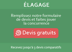 Devis élagage