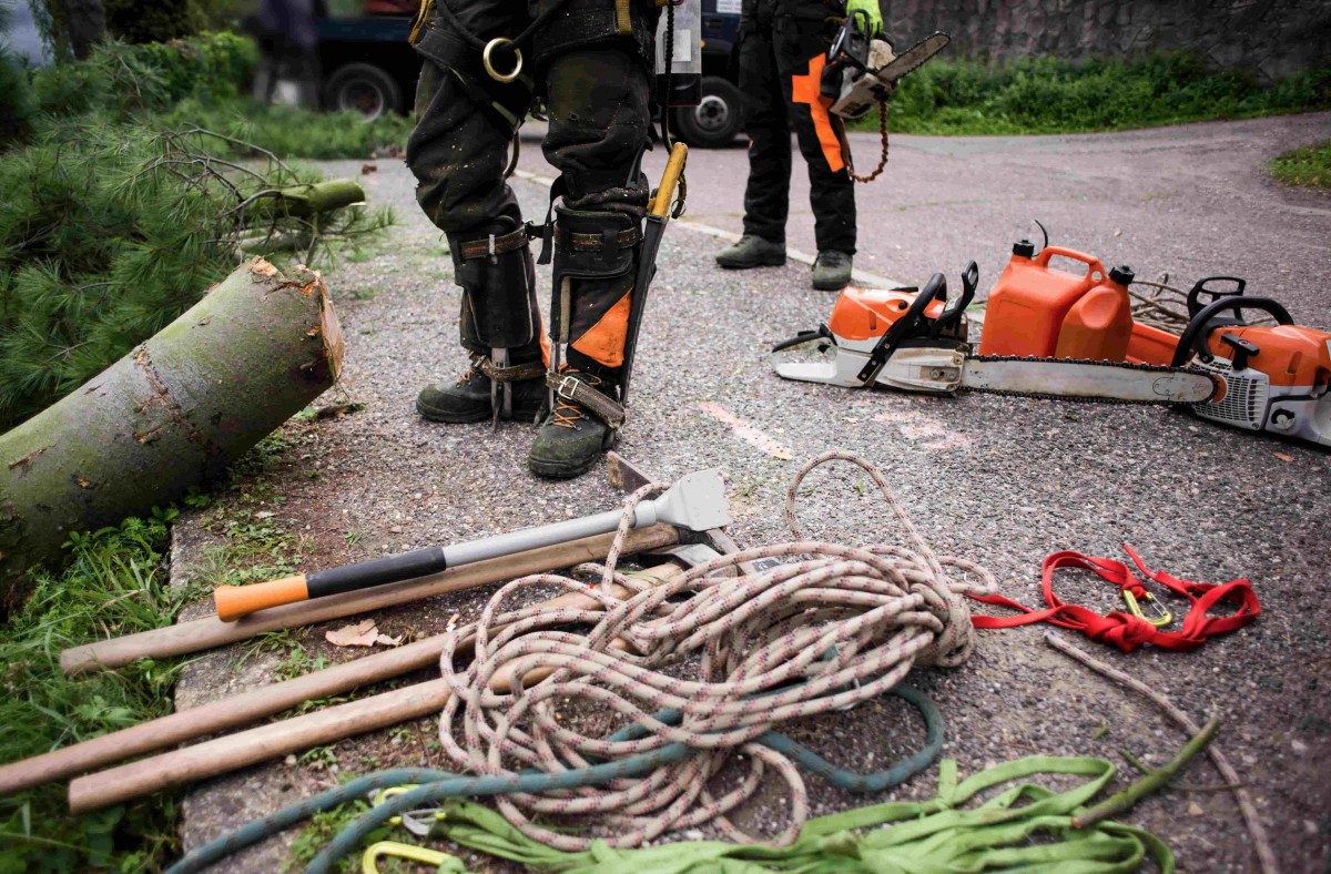 equipement cordage elagage